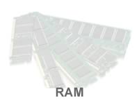 Ram